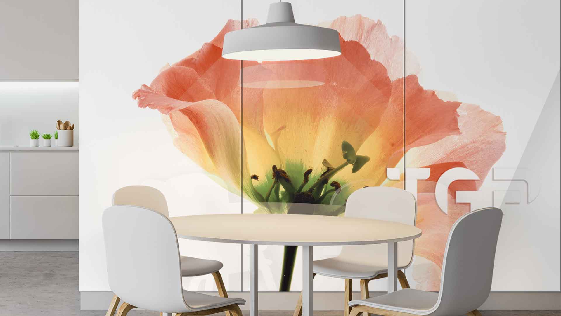 FLW006 Printed glass kitchen splashback