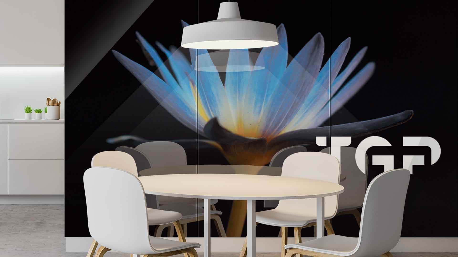 FLW013 Printed glass kitchen splashback