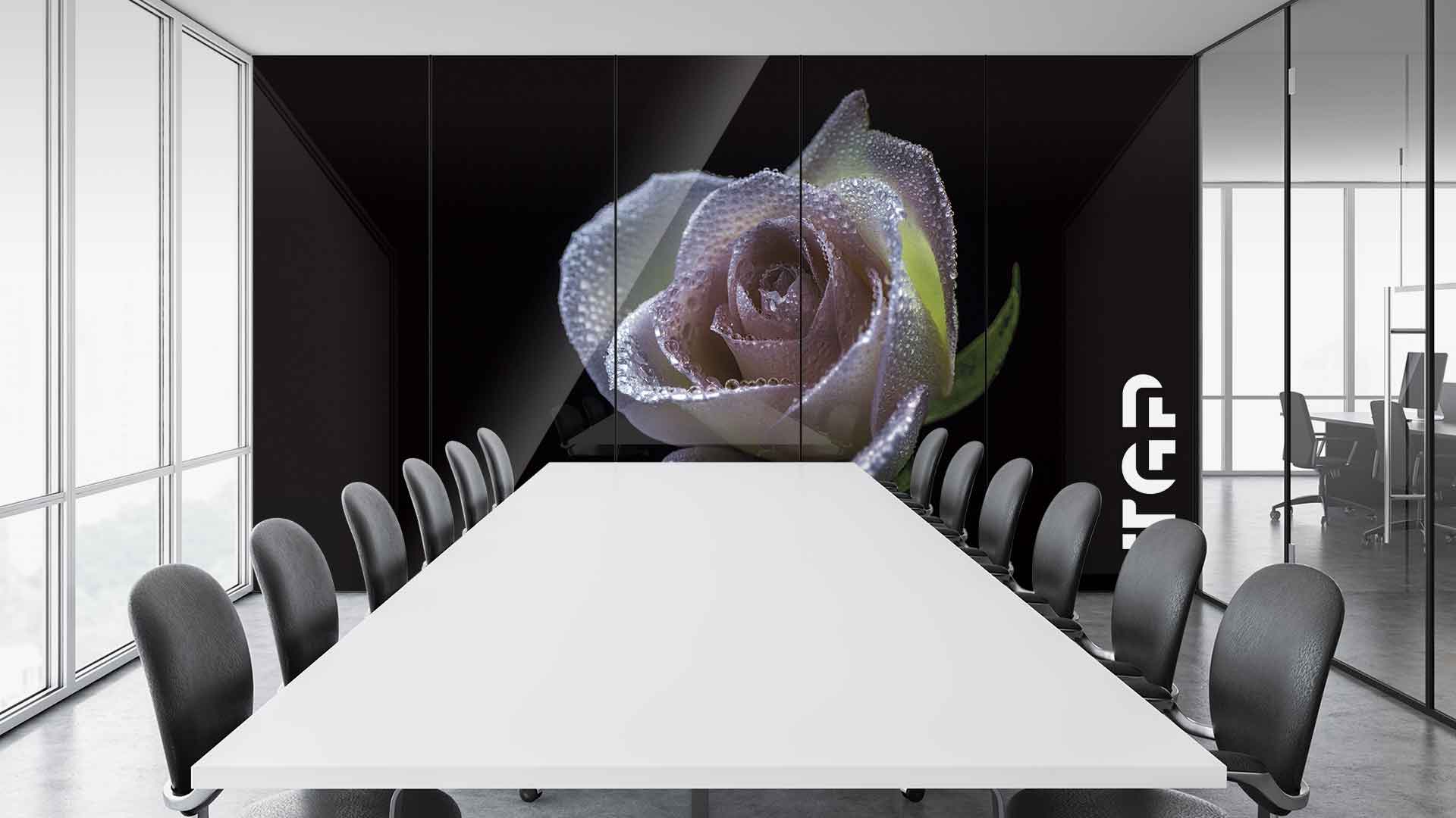 FLW027 Office printed glass wall cladding