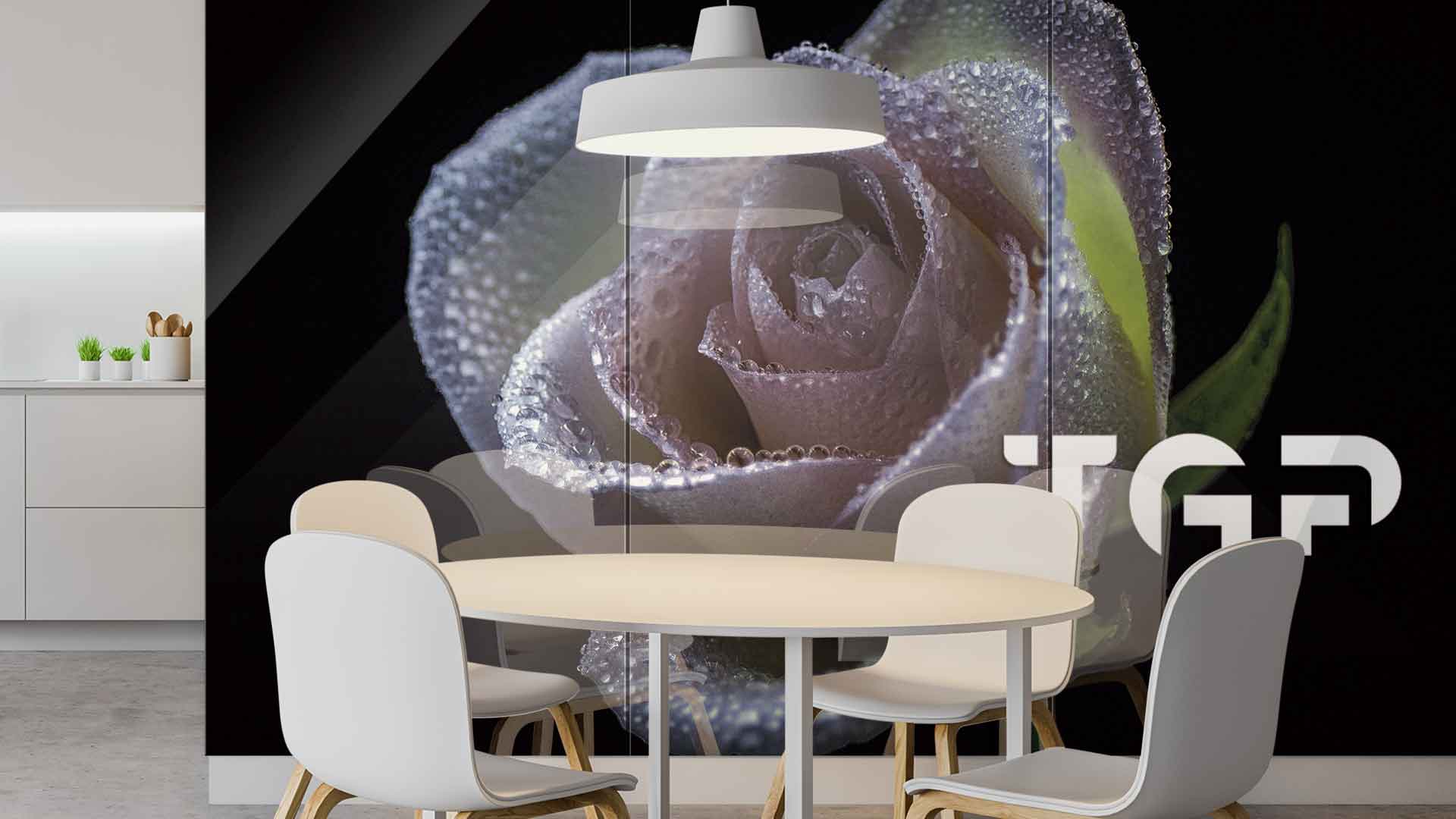 FLW027 Printed glass kitchen splashback