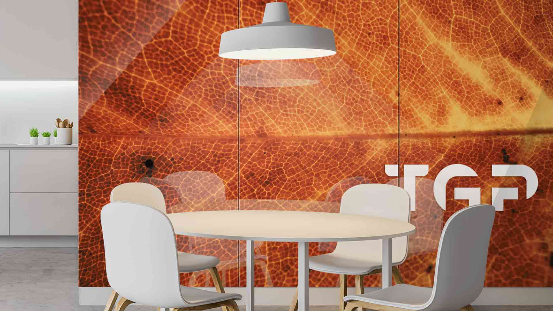 MCR009 Printed glass kitchen splashback