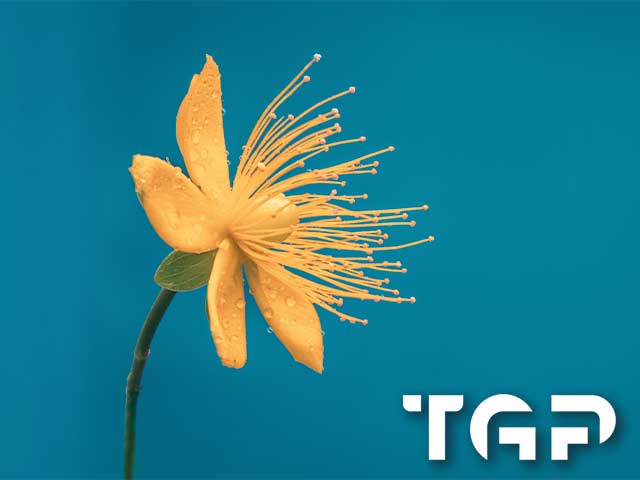 FLW005 printed glass design