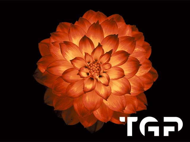 FLW010 printed glass design