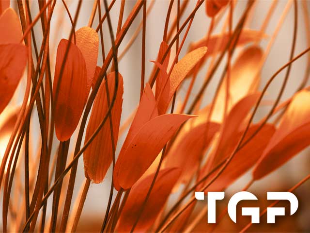 FLW011 printed glass design