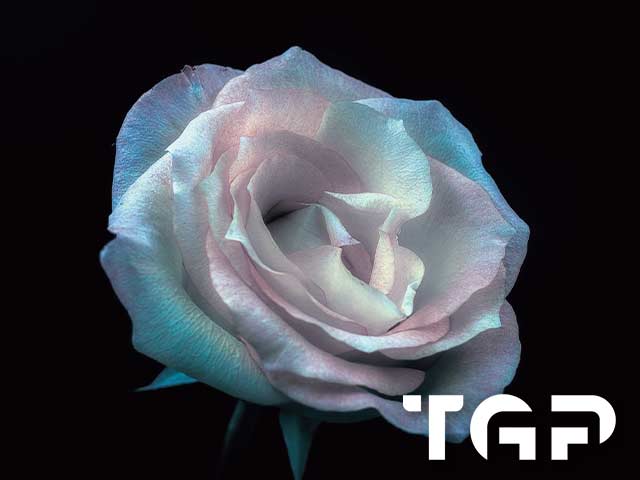 FLW018 printed glass design