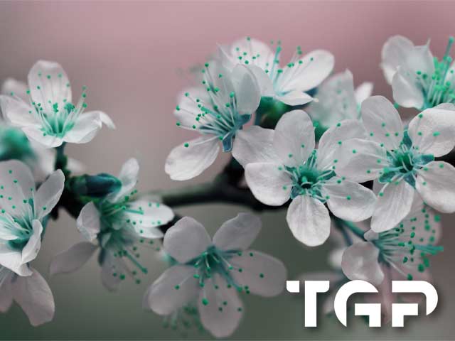 FLW021 printed glass design