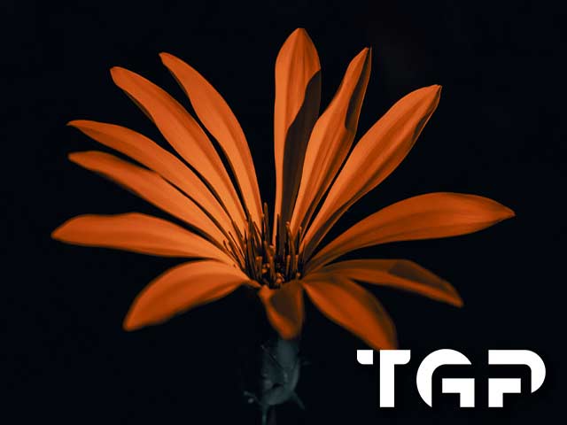 FLW022 printed glass design