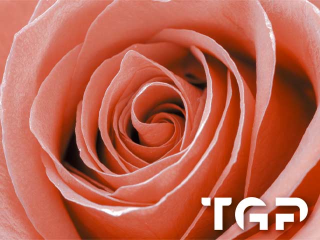 FLW026 printed glass design