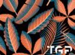 PRM018 printed glass design