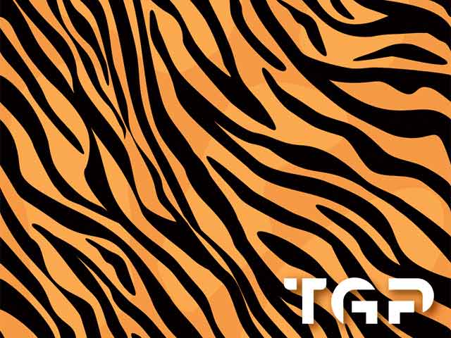 SFR013 printed glass design