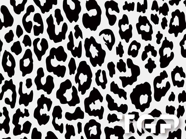 SFR014 printed glass design